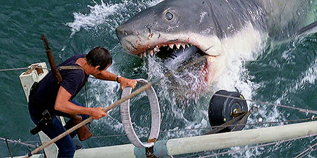 40 ������ ���� ���������� �� �������� ������ � � ������